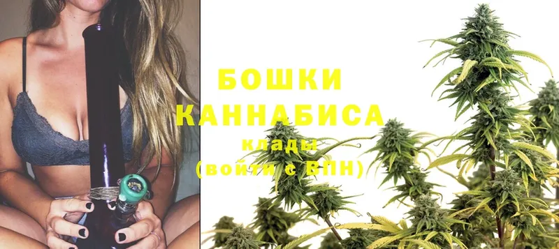 Шишки марихуана THC 21%  закладки  Чехов 